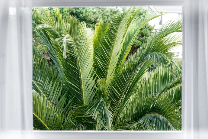 Imagen de la habitación del Hotel Brit Hôtel De L'océan. Foto 13