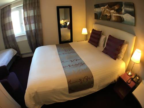 Imagen de la habitación del Hotel Brit Hotel, Spa & Restaurant - Colmar Est. Foto 11