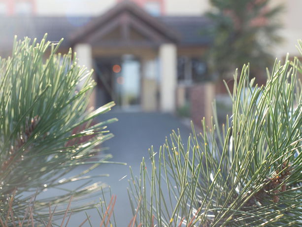 Imagen del bar/restaurante del Hotel Brit Les Evens. Foto 7