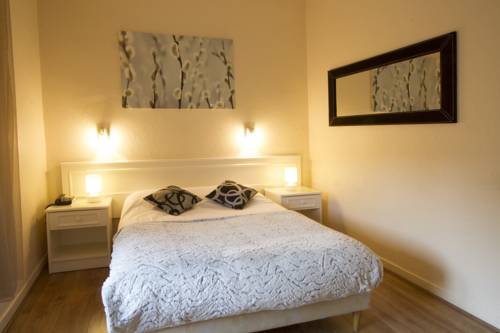 Imagen de la habitación del Hotel Brit Roanne - Le Grand. Foto 13