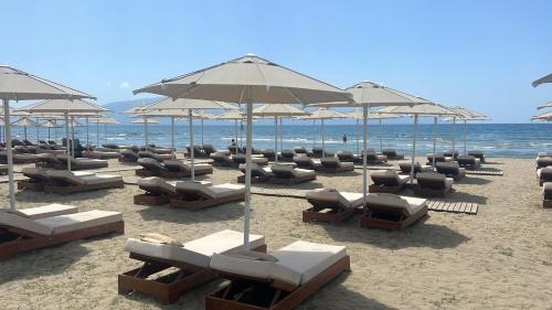 Imagen general del Hotel Britania. Foto 9