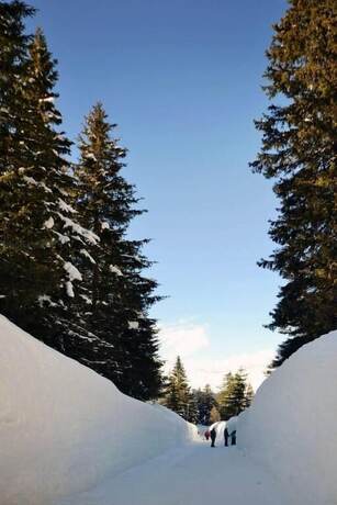 Imagen general del Hotel Brocco e Posta. Foto 4