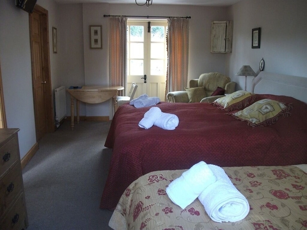 Imagen de la habitación del Hotel Broccoli Bottom. Foto 15
