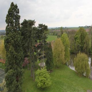 Imagen general del Hotel Brockencote Hall. Foto 13