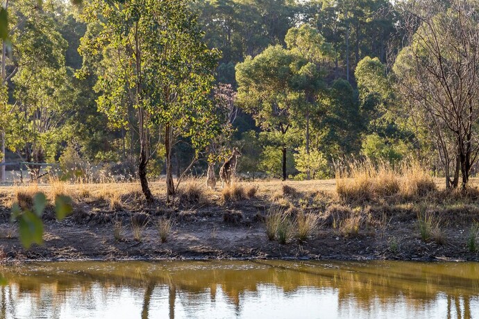 Imagen de los exteriores del Hotel Brokenback Views Country Estate. Foto 35