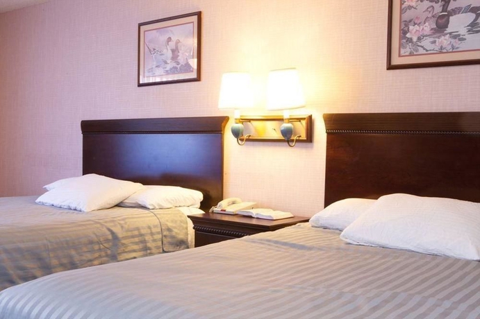 Imagen de la habitación del Hotel Brookhurst Plaza Inn. Foto 9