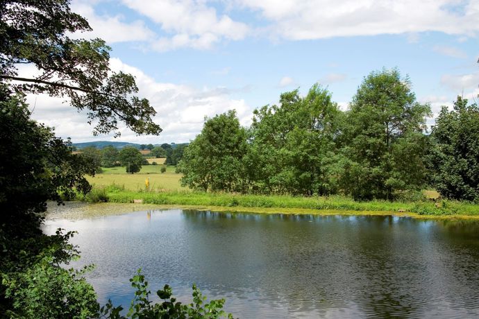 Imagen de los exteriores del Hotel Brooks County House. Foto 8