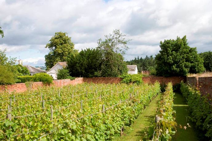 Imagen de los exteriores del Hotel Brooks County House. Foto 10