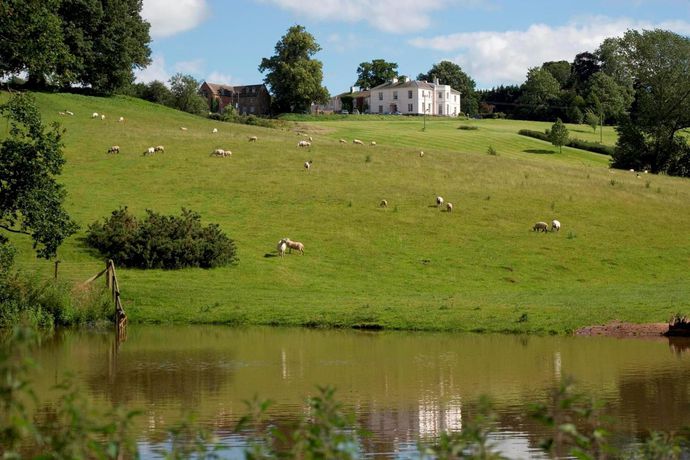 Imagen de los interiores del Hotel Brooks County House. Foto 15