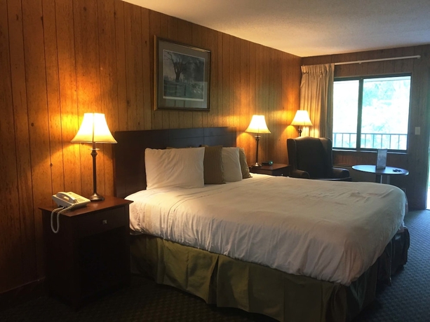 Imagen de la habitación del Hotel Brookside Lodge. Foto 10
