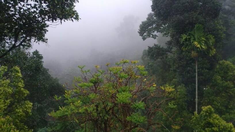 Imagen general del Hotel Brookside Nature. Foto 5
