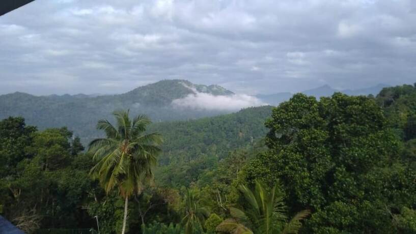 Imagen general del Hotel Brookside Nature. Foto 8