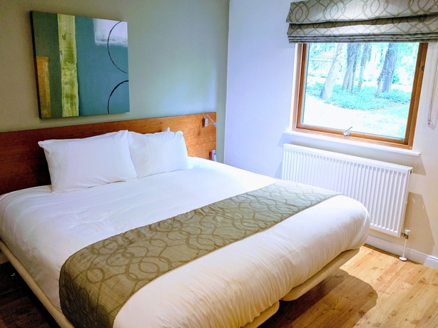 Imagen de la habitación del Hotel Broome Park. Foto 4
