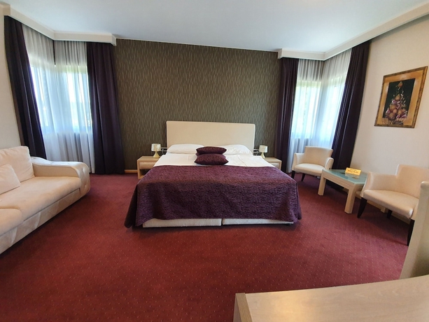 Imagen de la habitación del Hotel Brotnjo. Foto 12