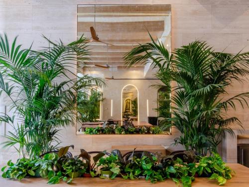 Imagen de los interiores del Hotel Browns Avenue. Foto 11