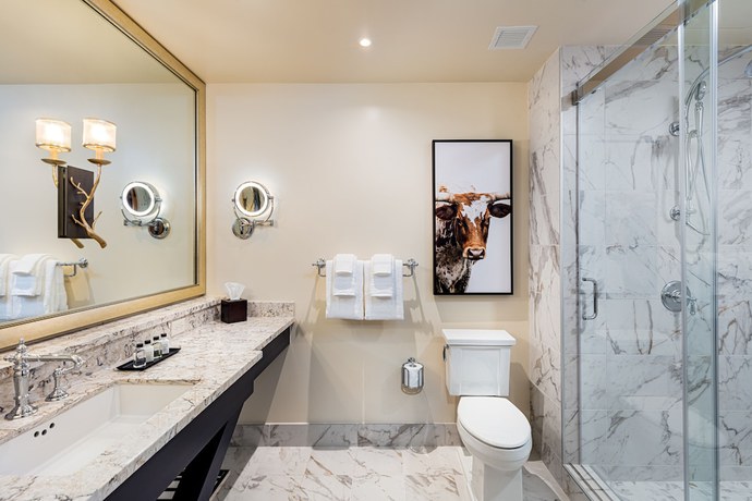 Imagen de la habitación del Hotel Brownwood Hotel and Spa. Foto 6