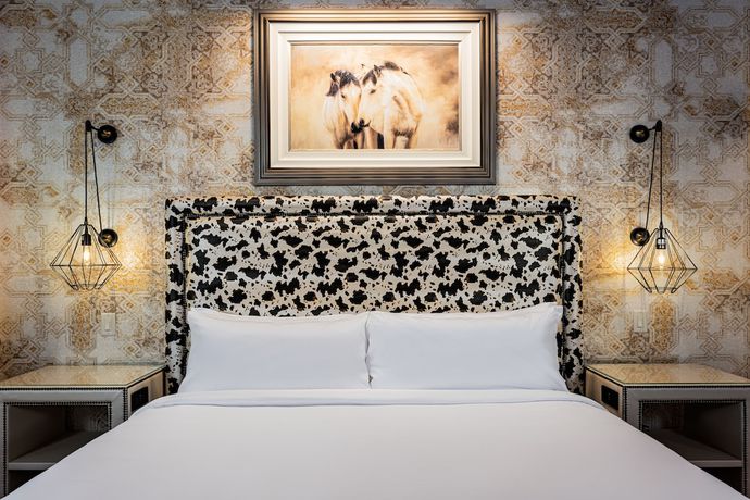 Imagen de la habitación del Hotel Brownwood Hotel and Spa. Foto 9