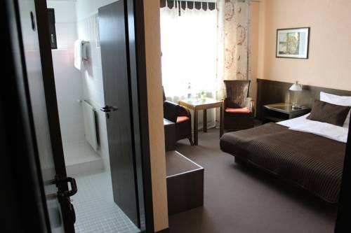 Imagen de la habitación del Hotel Brunnenhof. Foto 3