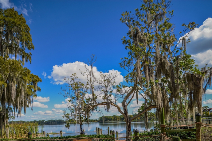 Imagen de los exteriores del Hotel Bryan's Spanish Cove. Foto 10