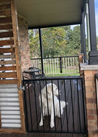 Imagen general del Hotel Bryn Glas Farm Stay. Foto 6