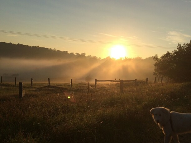 Imagen general del Hotel Bryn Glas Farm Stay. Foto 10