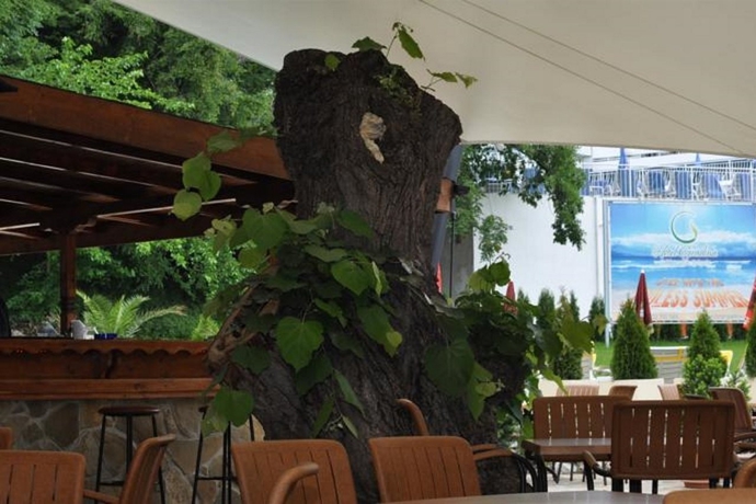 Imagen general del Hotel Bsa Gradina All Inclusive. Foto 9