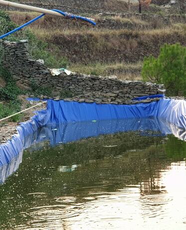 Imagen general del Hotel Bsr Farms. Foto 12