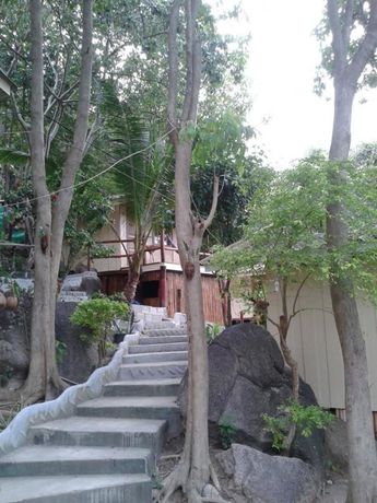 Imagen de los exteriores del Hotel Bubble Bungalow. Foto 12