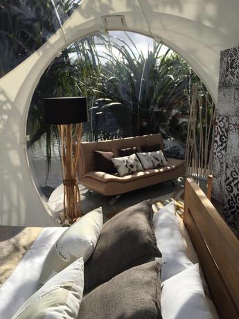 Imagen de la habitación del Hotel Bubble Lodge Bois Chéri. Foto 3