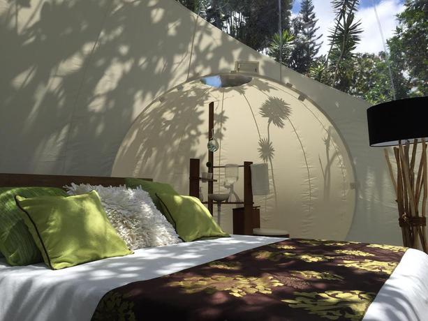 Imagen de la habitación del Hotel Bubble Lodge Bois Chéri. Foto 4
