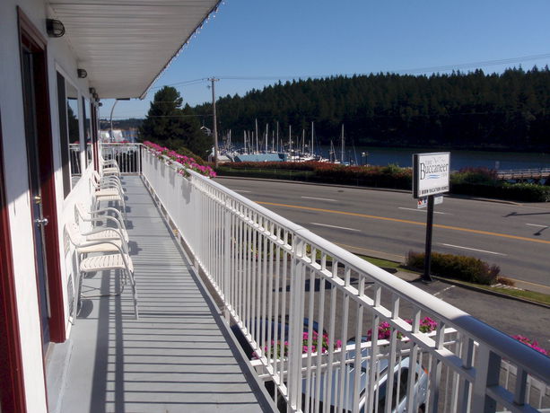 Imagen de la habitación del Hotel Buccaneer Inn, Nanaimo. Foto 5