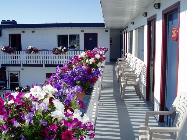 Imagen de los interiores del Hotel Buccaneer Inn, Nanaimo. Foto 14