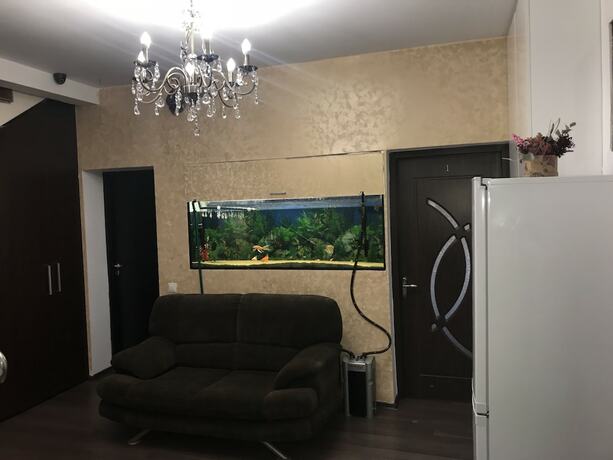 Imagen general del Hotel Bucharest Center Villa. Foto 8