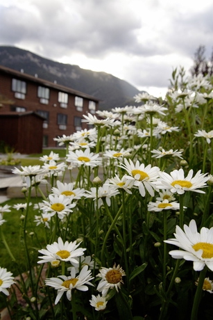 Imagen de los exteriores del Hotel Buck's T4 Lodge at Big Sky. Foto 12