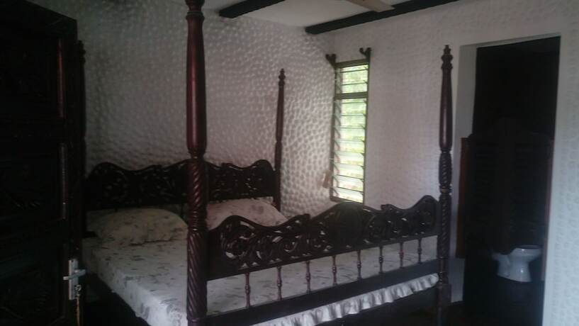 Imagen de la habitación del Hotel Buddha\'s Tree Backpackers - Adults Only. Foto 13