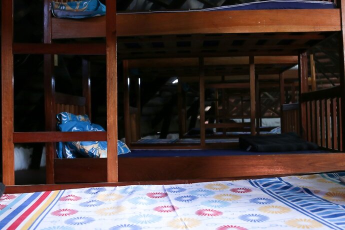 Imagen general del Hotel Buddha\'s Tree Backpackers - Adults Only. Foto 2