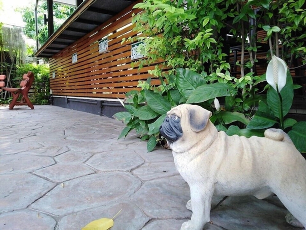Imagen general del Hotel Buddy Guesthouse. Foto 3