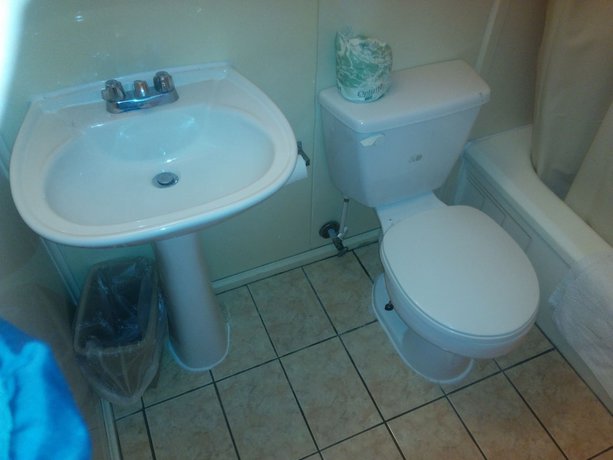 Imagen de la habitación del Hotel Budget Host Motel Gainesville. Foto 9