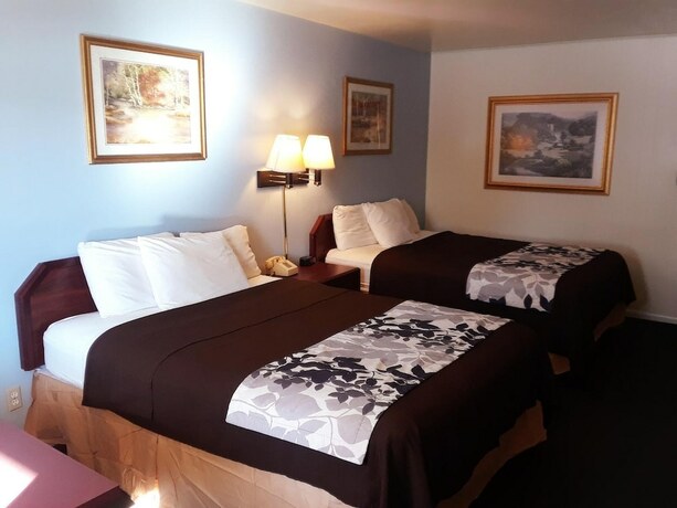Imagen general del Hotel Budget Inn Express. Foto 7