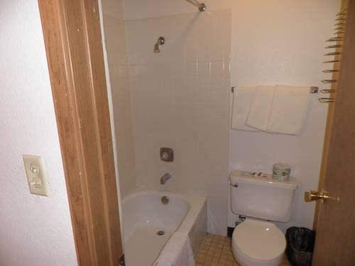 Imagen de la habitación del Hotel Budget Inn. Foto 12