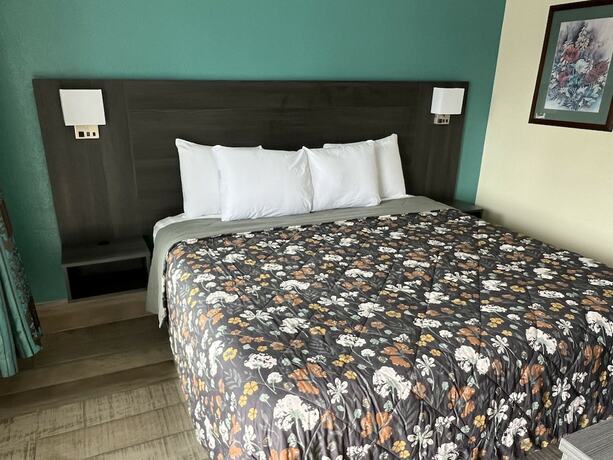 Imagen general del Hotel Budget Inn - Ft Myers. Foto 6