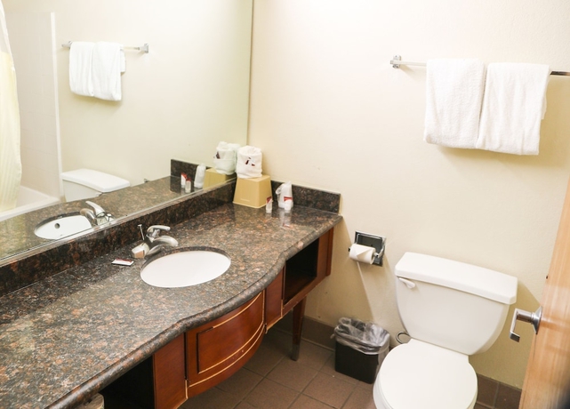 Imagen de la habitación del Hotel Budget Inn, Phoenix. Foto 10