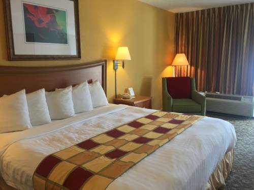 Imagen de la habitación del Hotel Budget Inn Sanford. Foto 7