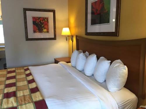 Imagen de la habitación del Hotel Budget Inn Sanford. Foto 8