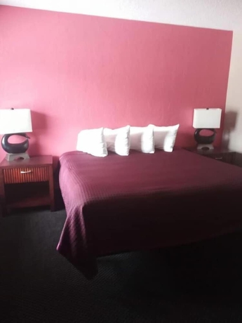 Imagen de la habitación del Hotel Budget Inn St Petersburg. Foto 12