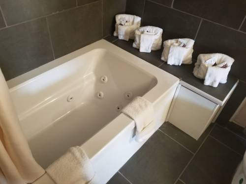Imagen de la habitación del Hotel Budget Inn & Suites. Foto 9