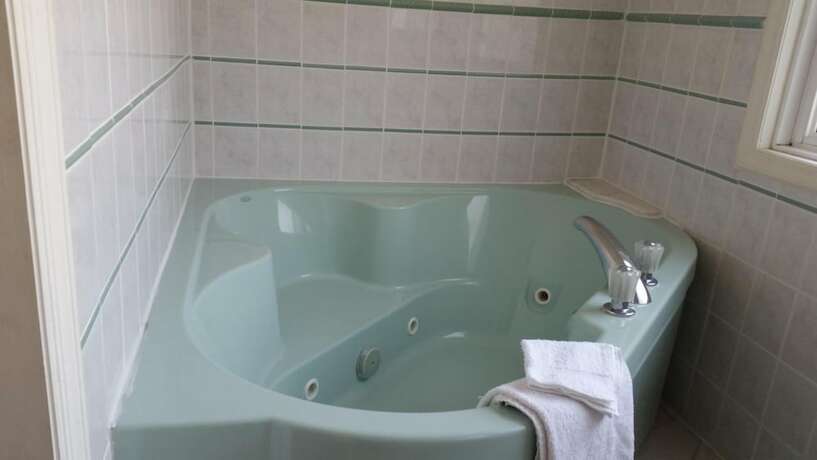 Imagen general del Hotel Budget Motor Inn - Stony Point. Foto 10
