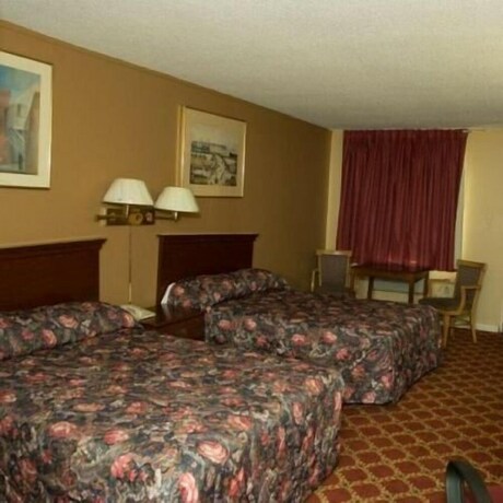 Imagen de la habitación del Hotel Budget Motor Lodge. Foto 19