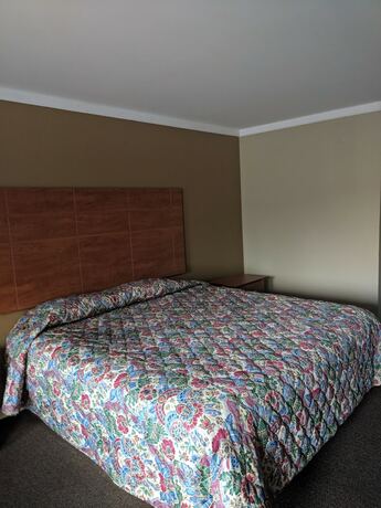 Imagen de la habitación del Hotel Budget Motor Lodge. Foto 29