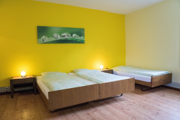 Imagen de la habitación del Hotel Budget Waldhotel Unspunnen. Foto 13